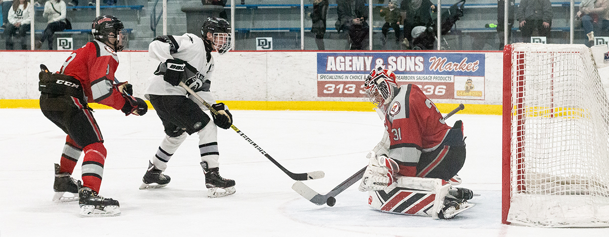 Photo from a hockey game at the DISC